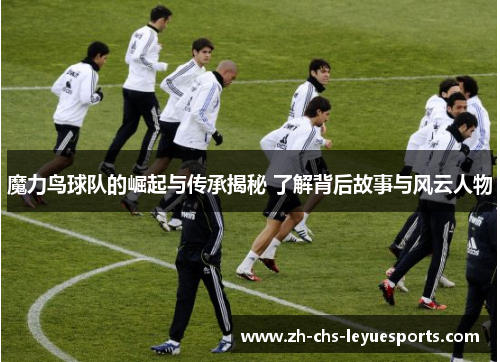 魔力鸟球队的崛起与传承揭秘 了解背后故事与风云人物