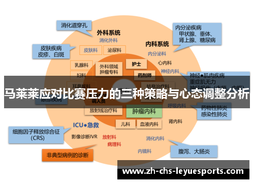 马莱莱应对比赛压力的三种策略与心态调整分析