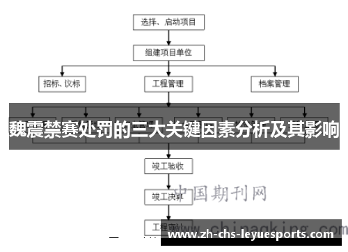 魏震禁赛处罚的三大关键因素分析及其影响